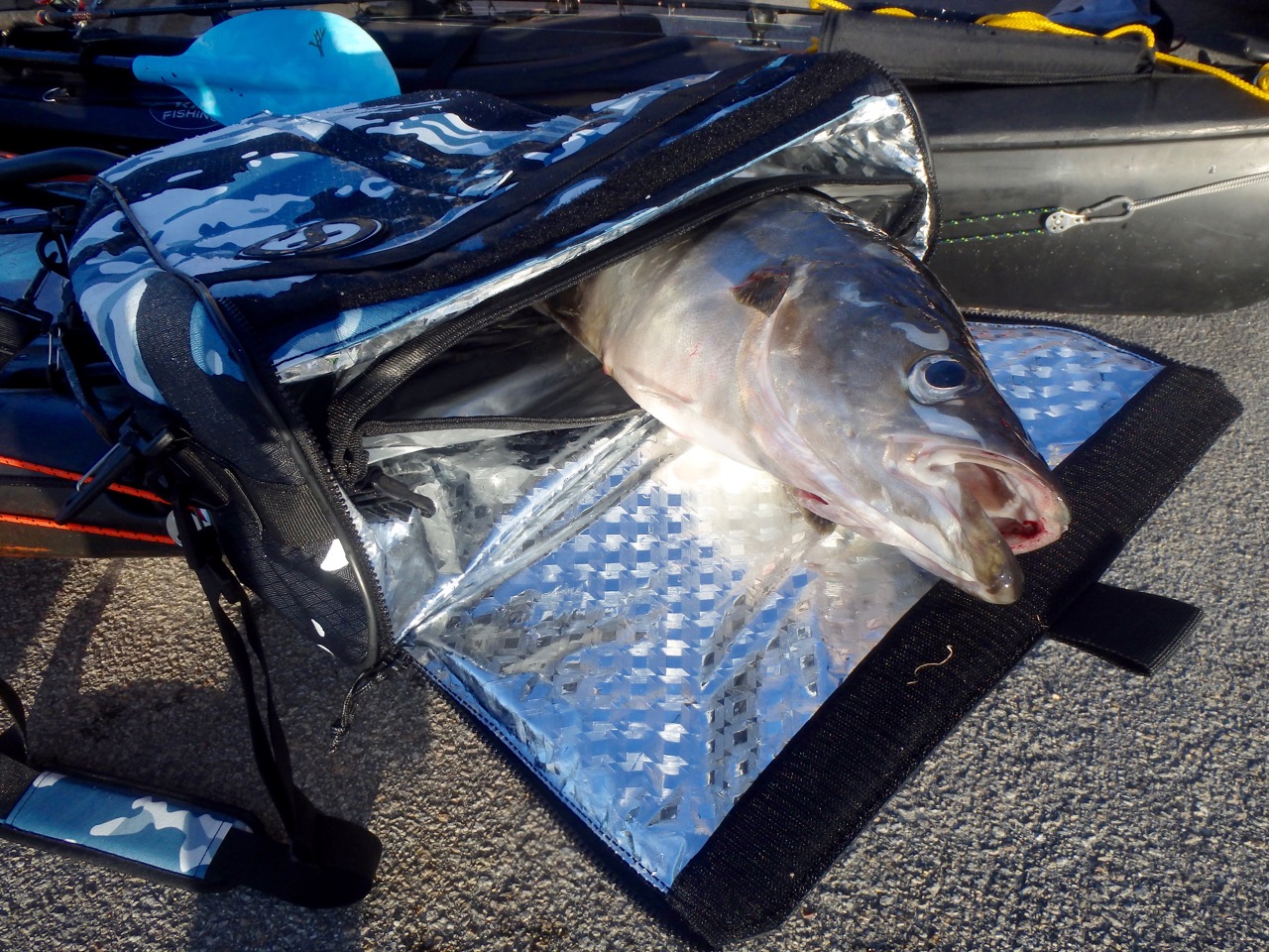 Feelfree Fish Cooler Bag OnKayak Storage Options