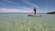 Enigma 10ft Red SUP Paddling on the sea
