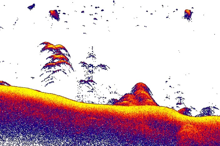 Lowrance CHIRP Sonar