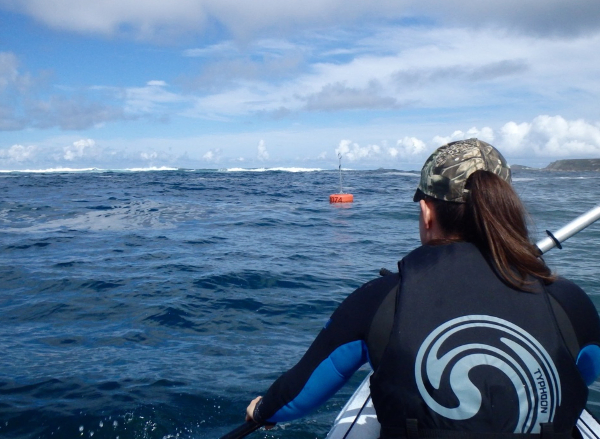 RTM Ocean Duo paddling at Sennen