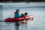 Paddling the Riot Bayside 10 Kayak with a dog