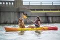 Paddling the Ocean Kayak Malibu 11.5 Kayak