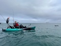 Pedalling with dolphins on the Old Town Sportsman Salty PDL kayak