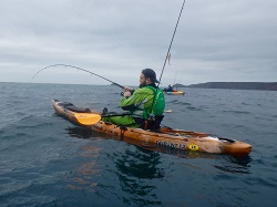 Andrew from Cornwall Canoes hooked into a fish on the new 2017 Trident 13