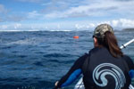 RTM Ocean Duo paddling at Sennen