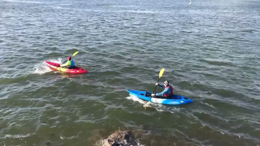 Roamer 1 Sit-on-top by FeelFree Kayaks